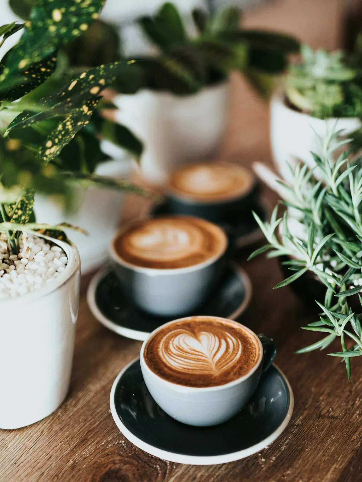Latte art for a specialty coffee brand