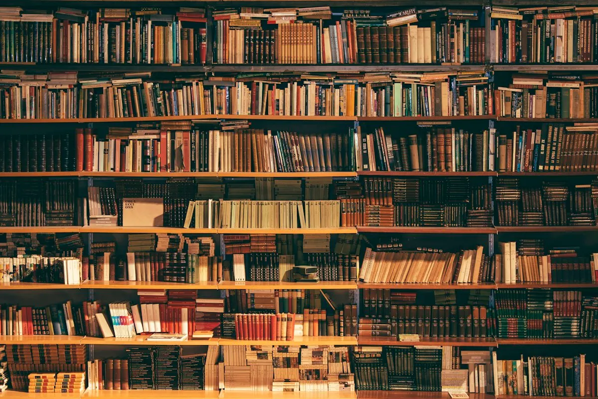 Library shelves full of knowledge
